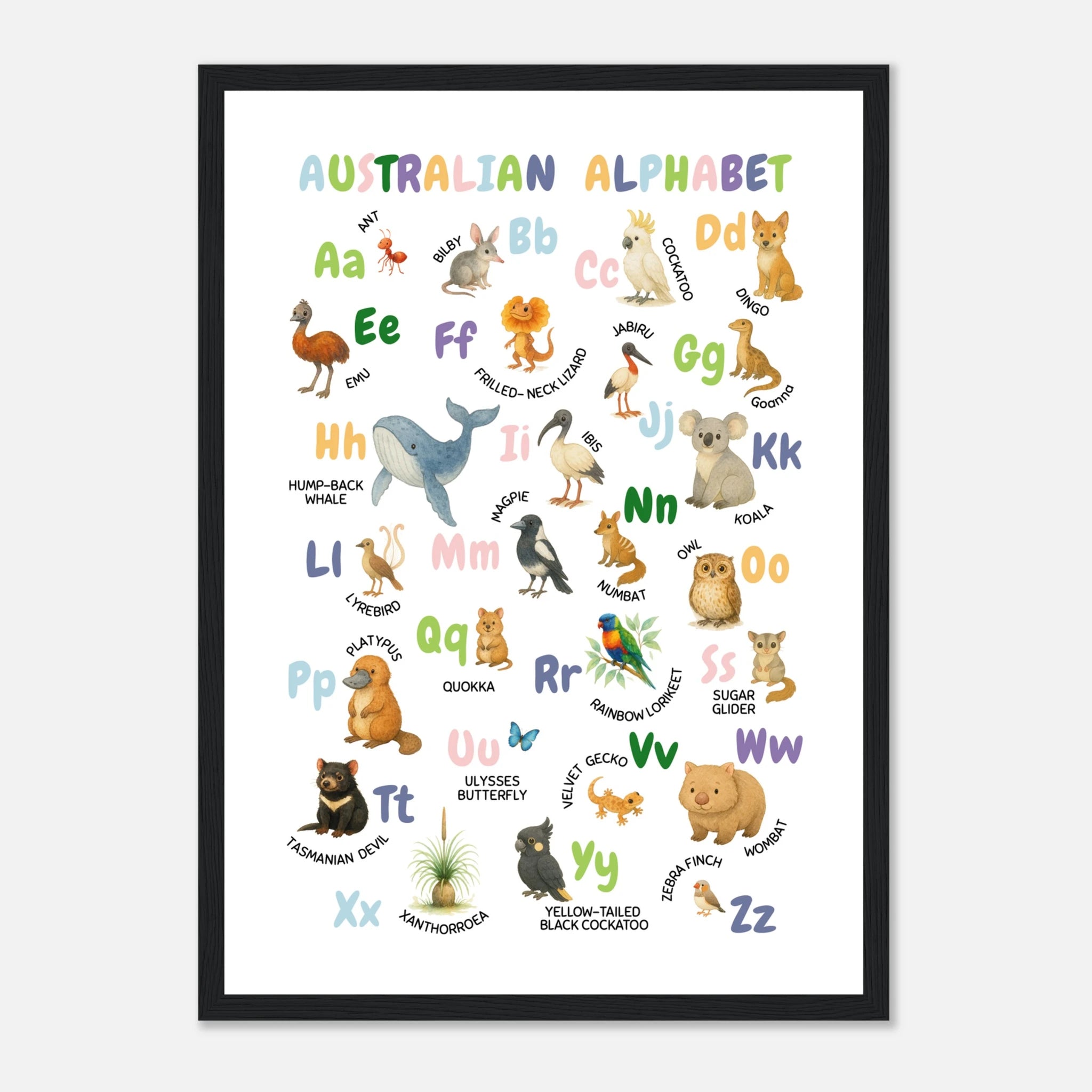 Black frame - Australian Animal Alphabet Poster – Watercolour ABC Chart for Kids - Play By Print