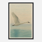 Black frame 30x45 cm 12x18″ - Grace in Flight – Watercolour Swan Over Calm Waters - Play By Print