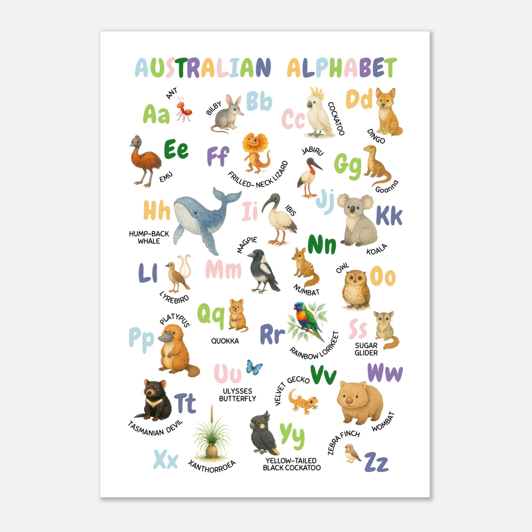 Unframed - Australian Animal Alphabet Poster – Watercolour ABC Chart for Kids - Play By Print